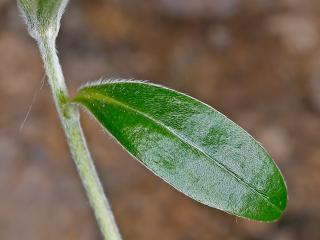 Img.VTax2322.Ex1.Img3