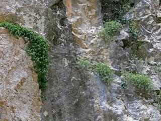 Img.VTax2322.Ex1.Img4