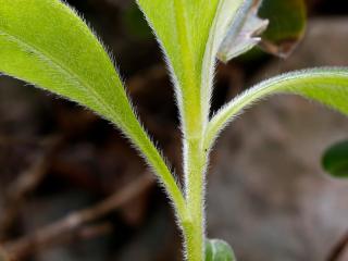 Img.VTax2322.Ex1.Img8