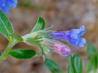 Img.VTax2322.Ex1.Img9