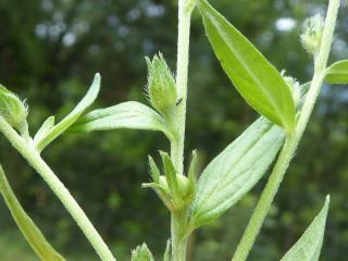 Img.VTax2324.Ex1.Img5