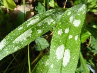 Img.VTax2346.Ex1.Img4