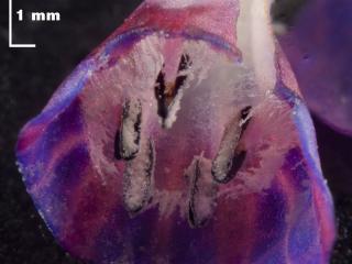 Img.VTax2347.Ex2.Img8