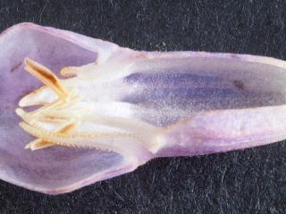 Img.VTax2350.Ex2.Img13