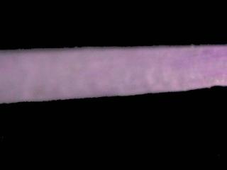 Img.VTax2350.Ex2.Img9