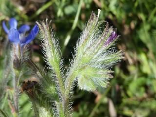 Img.VTax2353.Ex1.Img6