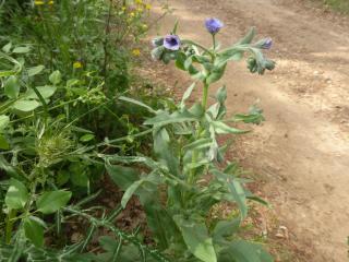 Img.VTax2376.Ex1.Img5