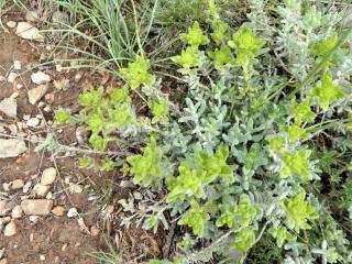 Img.VTax2397.Ex1.Img1