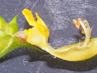 Img.VTax2432.Ex3.Img5