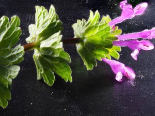 Img.VTax2435.Ex2.Img9