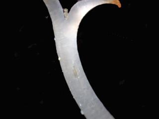 Img.VTax2464.Ex4.Img7