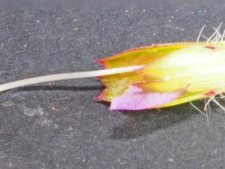 Img.VTax2464.Ex4.Img8