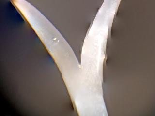 Img.VTax2464.Ex4.Img9