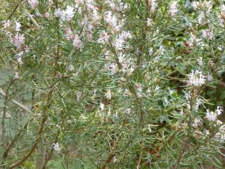 Img.VTax2518.Ex2.Img1