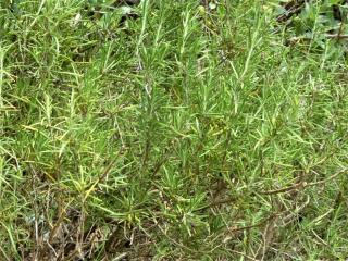 Img.VTax2518.Ex2.Img2