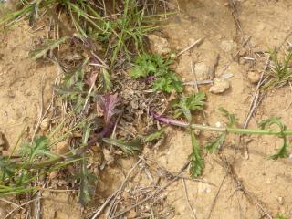 Img.VTax2540.Ex2.Img1