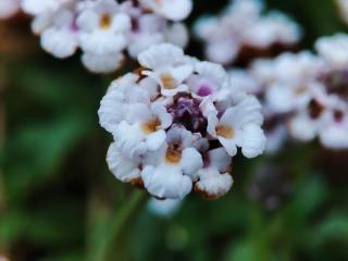 Img.VTax2542.Ex1.Img1