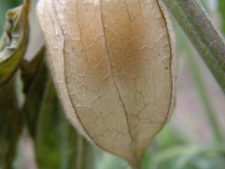 Img.VTax2554.Ex1.Img1