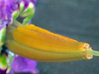 Img.VTax2561.Ex2.Img3