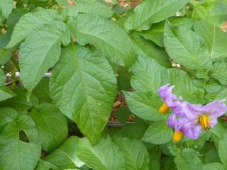 Img.VTax2563.Ex1.Img1