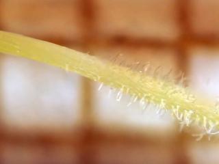 Img.VTax2567.Ex2.Img1