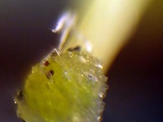 Img.VTax2567.Ex2.Img14