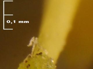 Img.VTax2567.Ex2.Img3