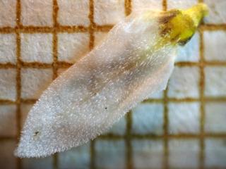 Img.VTax2567.Ex2.Img7