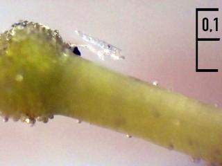 Img.VTax2567.Ex2.Img9