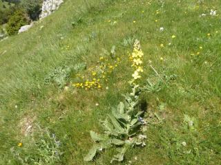 Img.VTax2588.Ex1.Img1