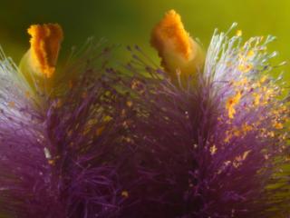 Img.VTax2589.Ex3.Img1