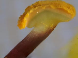 Img.VTax2589.Ex3.Img6