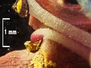 Img.VTax2593.Ex2.Img11