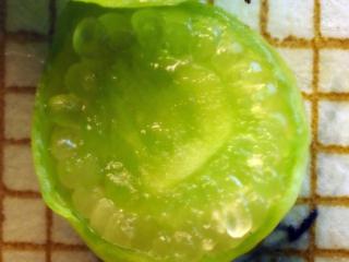 Img.VTax2593.Ex2.Img14