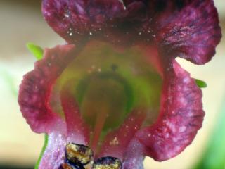 Img.VTax2593.Ex2.Img18