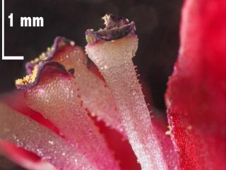 Img.VTax2593.Ex2.Img19