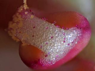 Img.VTax2593.Ex2.Img3