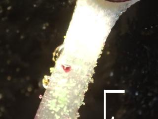 Img.VTax2593.Ex2.Img7