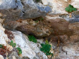 Img.VTax2598.Ex1.Img1