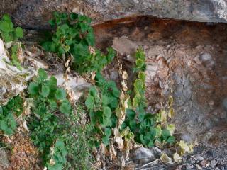 Img.VTax2598.Ex1.Img13