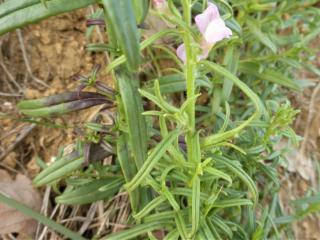 Img.VTax2601.Ex1.Img3
