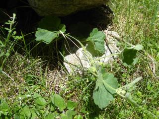 Img.VTax2608.Ex1.Img1