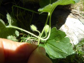 Img.VTax2608.Ex1.Img3