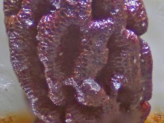 Img.VTax2608.Ex2.Img1