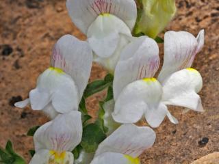 Img.VTax2609.Ex1.Img1