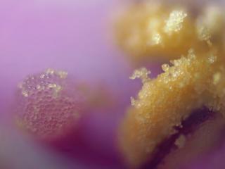 Img.VTax2614.Ex3.Img1