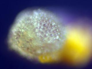 Img.VTax2614.Ex3.Img16