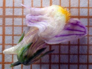 Img.VTax2614.Ex3.Img17