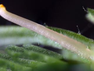 Img.VTax2614.Ex3.Img8