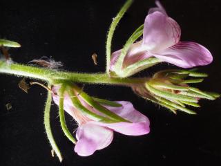 Img.VTax2614.Ex3.Img9